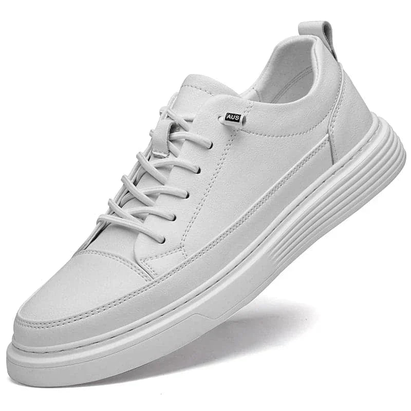 Stride in Comfort Leather Shoes